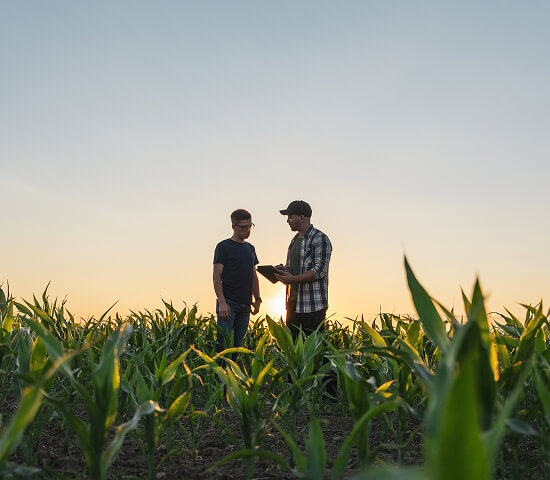 two men in field with tablet